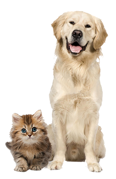 Dog-Cat